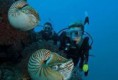 /album/fotogaleria-curso-advanced-open-water-diver/images-1-jpg/